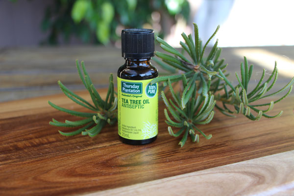 benefits of tea tree oil in baby massage